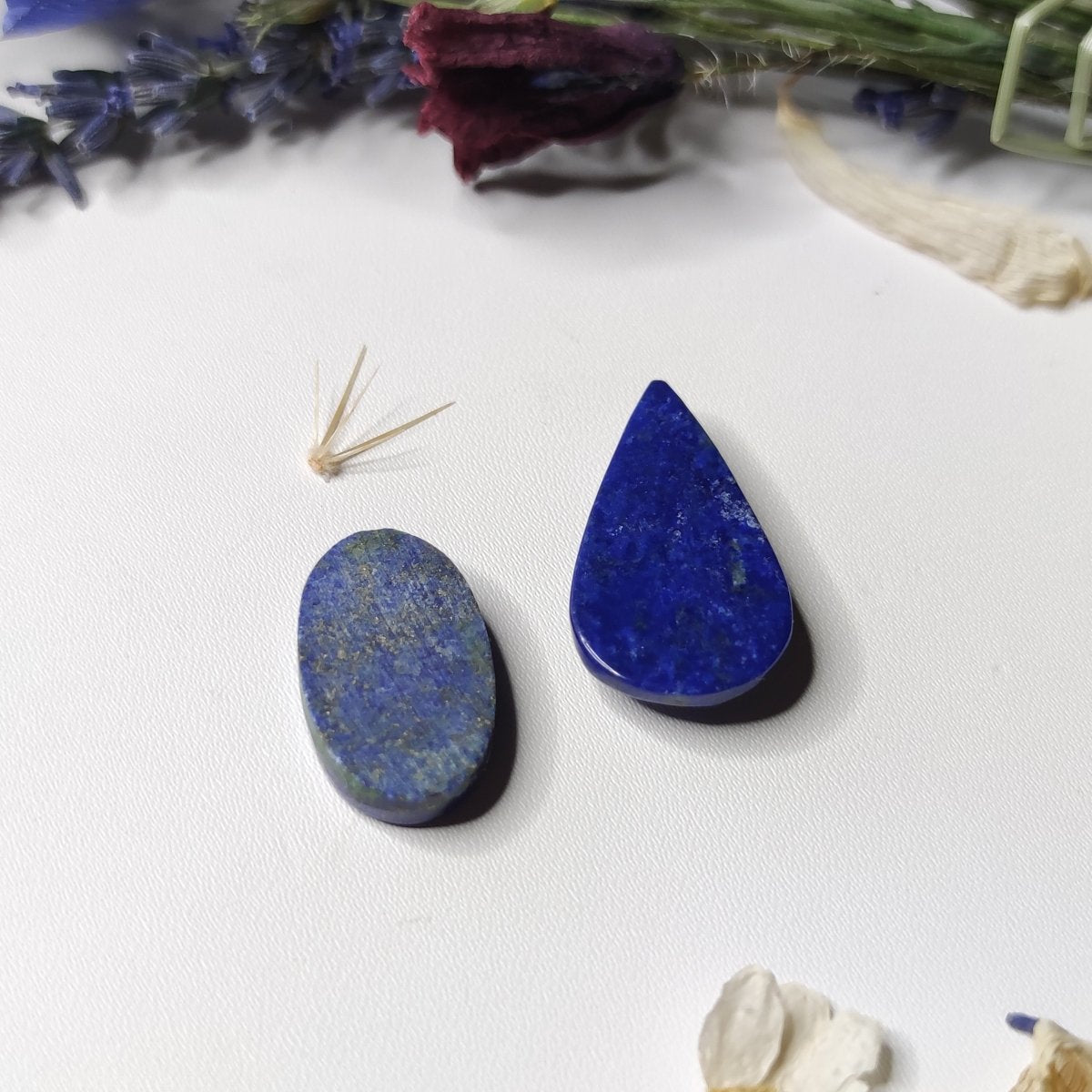 Lapis Lazuli Cabochons - Anima Mundi Crystals