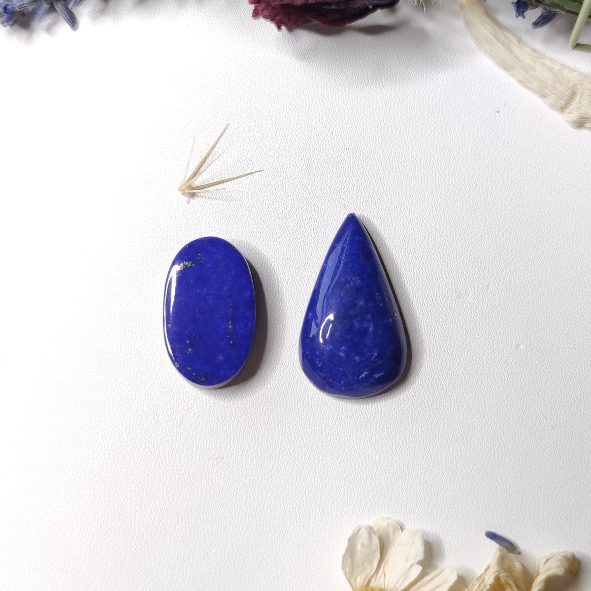Lapis Lazuli Cabochons - Anima Mundi Crystals