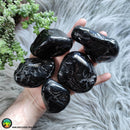 Large Black Tourmaline Tumbled XL - Anima Mundi Crystals