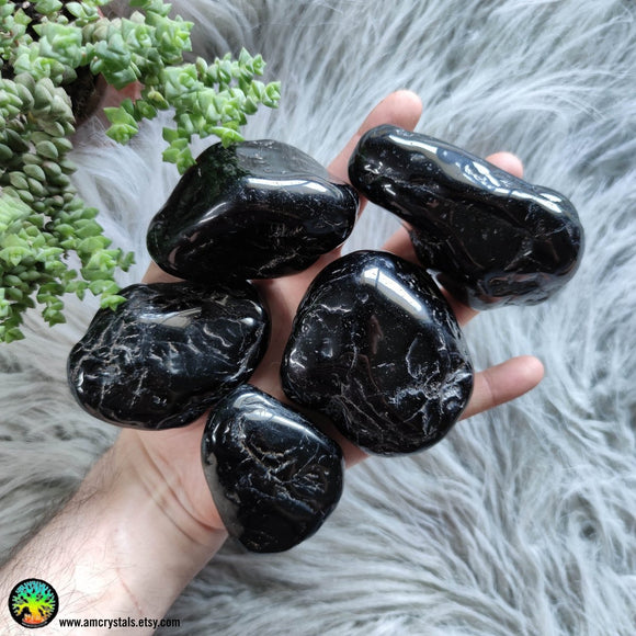 Large Black Tourmaline Tumbled XL - Anima Mundi Crystals