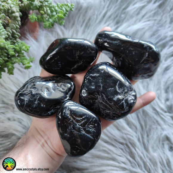 Large Black Tourmaline Tumbled XL - Anima Mundi Crystals