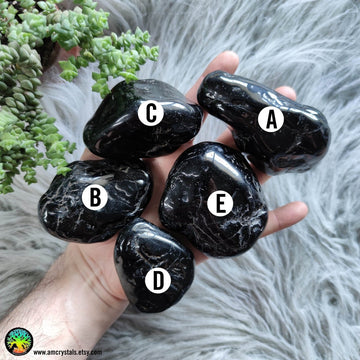Large Black Tourmaline Tumbled XL - Anima Mundi Crystals