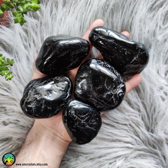 Large Black Tourmaline Tumbled XL - Anima Mundi Crystals