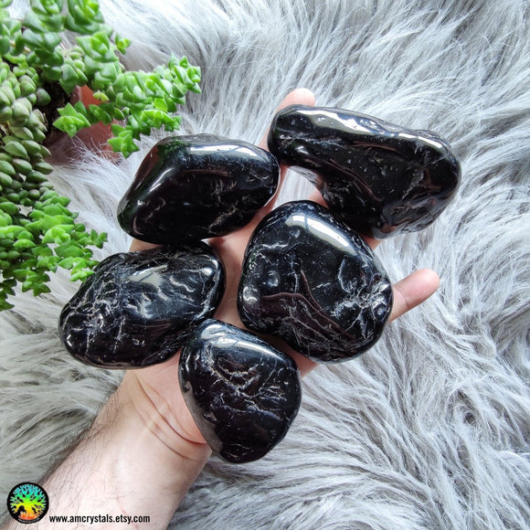 Large Black Tourmaline Tumbled XL - Anima Mundi Crystals
