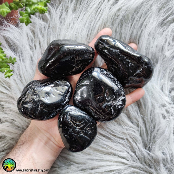 Large Black Tourmaline Tumbled XL - Anima Mundi Crystals