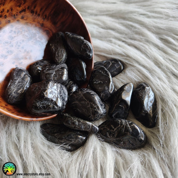 Large Black Tourmaline Tumbles - Anima Mundi Crystals