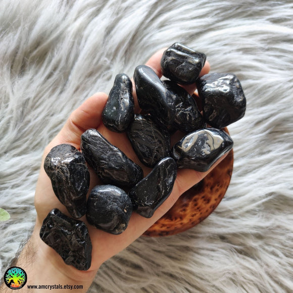 Large Black Tourmaline Tumbles - Anima Mundi Crystals