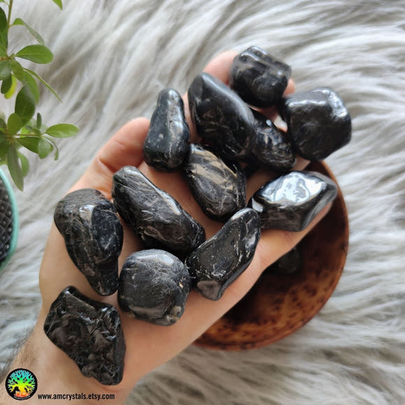 Large Black Tourmaline Tumbles - Anima Mundi Crystals