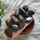 Large Black Tourmaline Tumbles - Anima Mundi Crystals