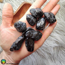 Large Black Tourmaline Tumbles - Anima Mundi Crystals