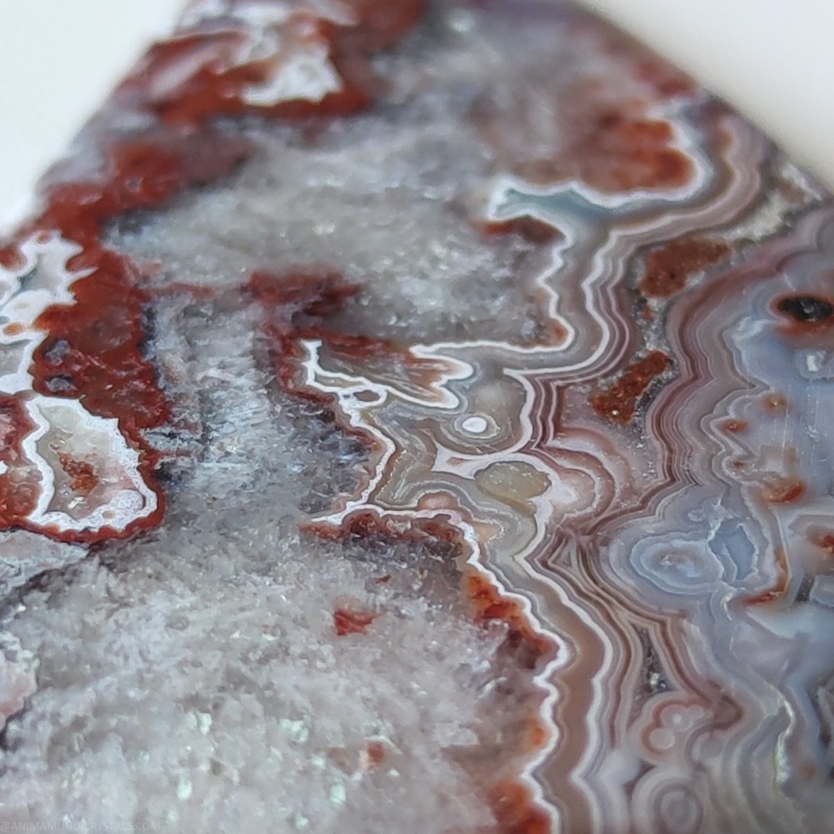 Grote Crazy Lace Agaat - Traanvorm - Anima Mundi Kristallen