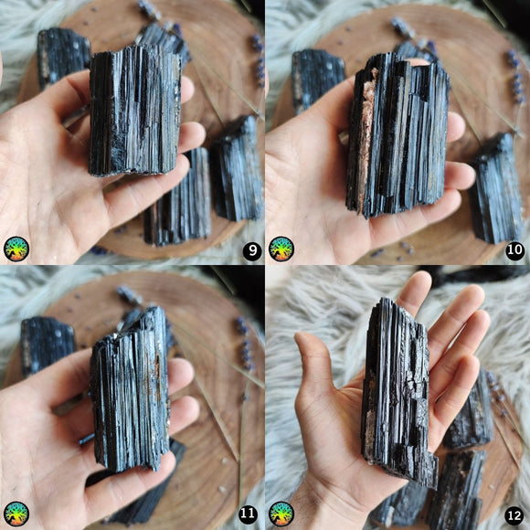 Large Raw Black Tourmaline Crystals - Anima Mundi Crystals