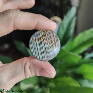 Large Round Labradorite Cabochon NR 4 - Anima Mundi Crystals