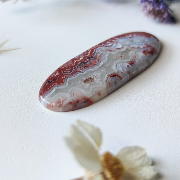 Long Oval Crazy Lace Agate N.1 - Anima Mundi Crystals