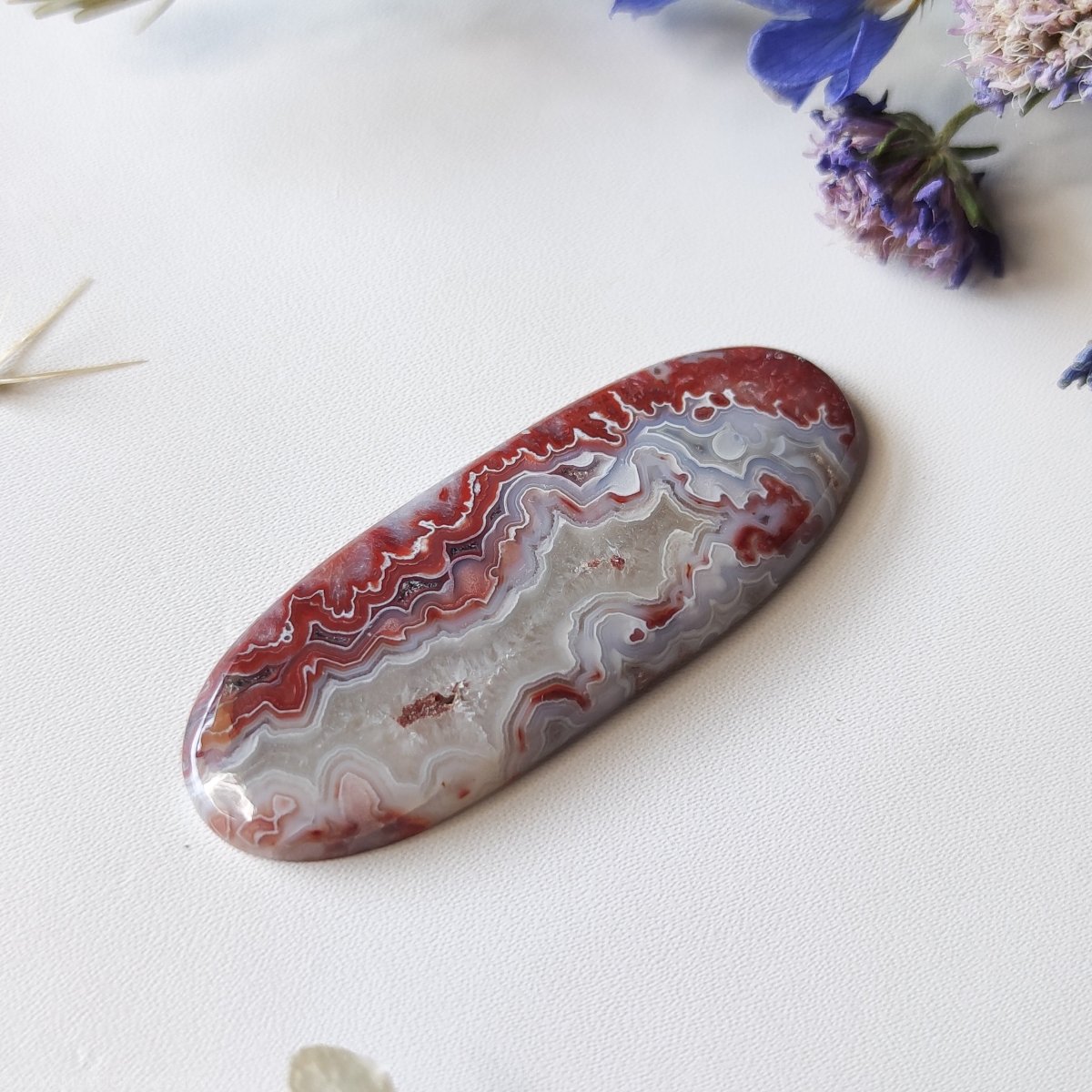 Long Oval Crazy Lace Agate N.1 - Anima Mundi Crystals