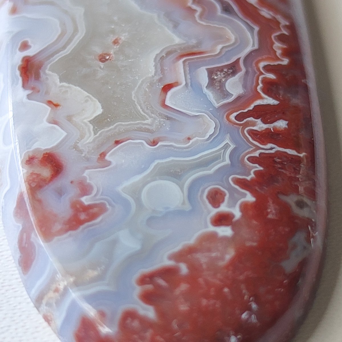 Long Oval Crazy Lace Agate N.1 - Anima Mundi Crystals
