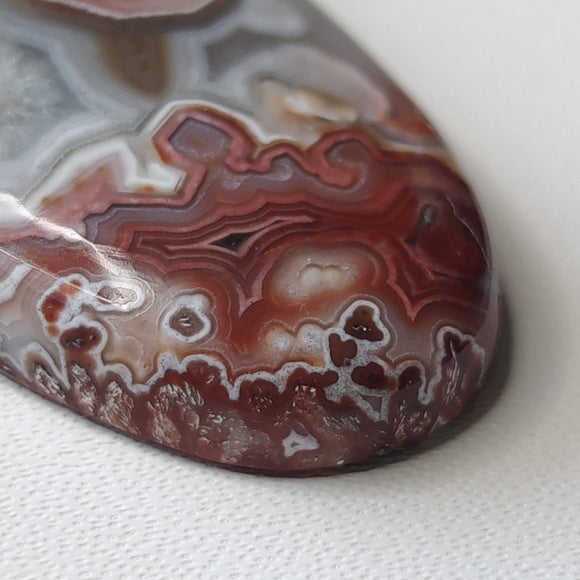 Long Oval Crazy Lace Agate N.2 - Anima Mundi Crystals