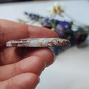 Long Oval Crazy Lace Agate N.2 - Anima Mundi Crystals