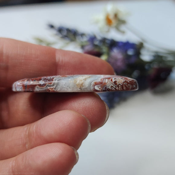 Long Oval Crazy Lace Agate N.2 - Anima Mundi Crystals