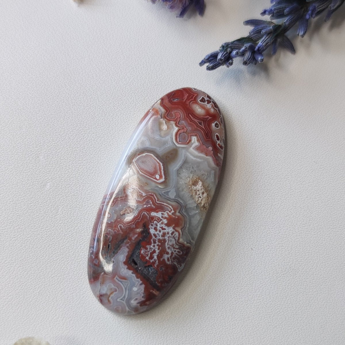 Long Oval Crazy Lace Agate N.2 - Anima Mundi Crystals