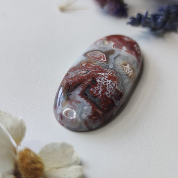 Long Oval Crazy Lace Agate N.2 - Anima Mundi Crystals