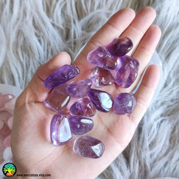 Lot of 2 Tumbled Amethyst - Anima Mundi Crystals