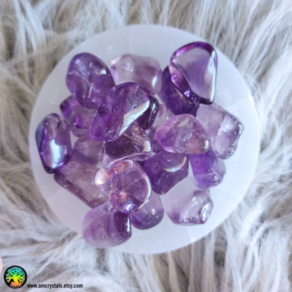 Lot of 2 Tumbled Amethyst - Anima Mundi Crystals