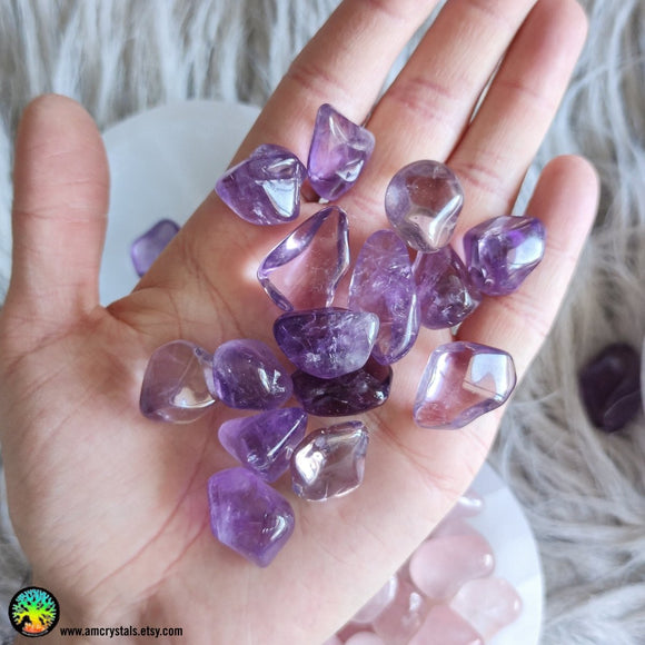 Lot of 2 Tumbled Amethyst - Anima Mundi Crystals