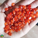 Lot of 3 Small Carnelian Oval Cabochons - Anima Mundi Crystals