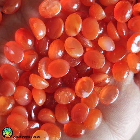 Lot of 3 Small Carnelian Oval Cabochons - Anima Mundi Crystals