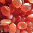 Lot of 3 Small Carnelian Oval Cabochons - Anima Mundi Crystals