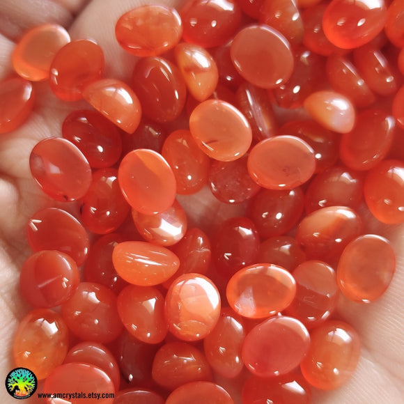 Lot of 3 Small Carnelian Oval Cabochons - Anima Mundi Crystals
