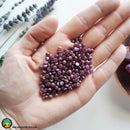 Lot of 5 Pink Ruby Small Round Cabochon - Anima Mundi Crystals