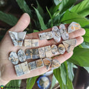 Maligano Jasper Pair Cabochons - Anima Mundi Crystals