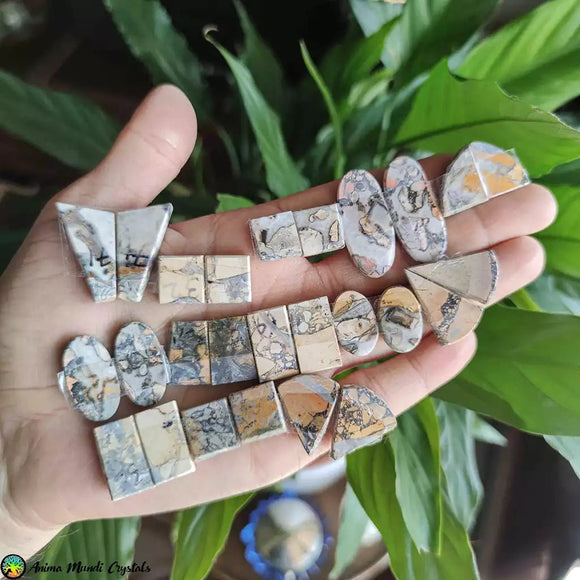 Maligano Jasper Pair Cabochons - Anima Mundi Crystals