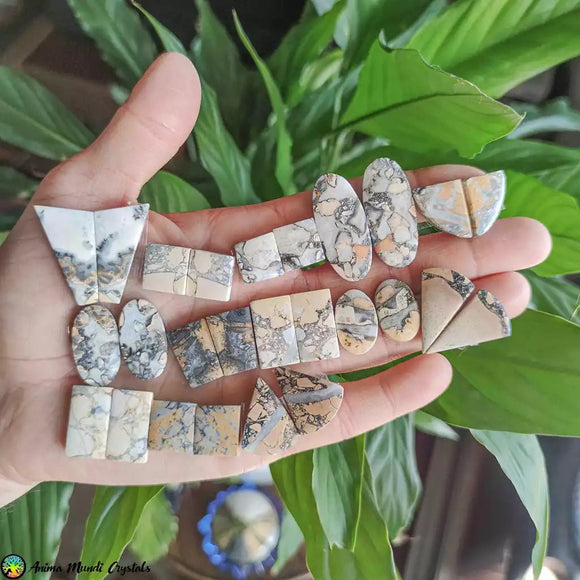 Maligano Jasper Pair Cabochons - Anima Mundi Crystals