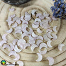 Mini Kunzite Crescent Moon Cabochons 10-12mm - Anima Mundi Crystals
