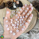 Mini Kunzite Star Cabochons 10-12mm - Anima Mundi Crystals