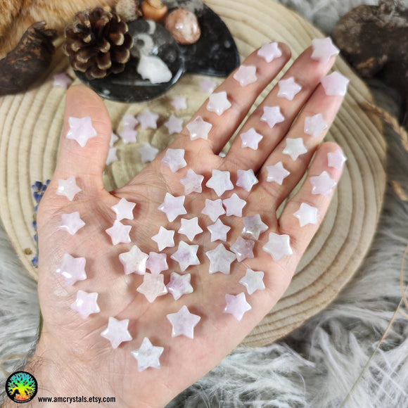Mini Kunzite Star Cabochons 10-12mm - Anima Mundi Crystals