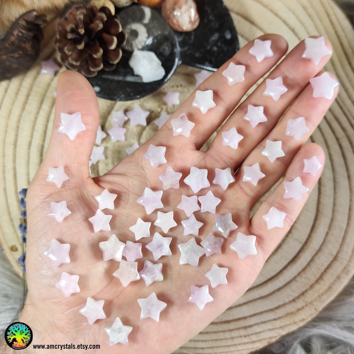 Mini Kunzite Star Cabochons 10-12mm - Anima Mundi Crystals