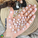 Mini Kunzite Star Cabochons 10-12mm - Anima Mundi Crystals