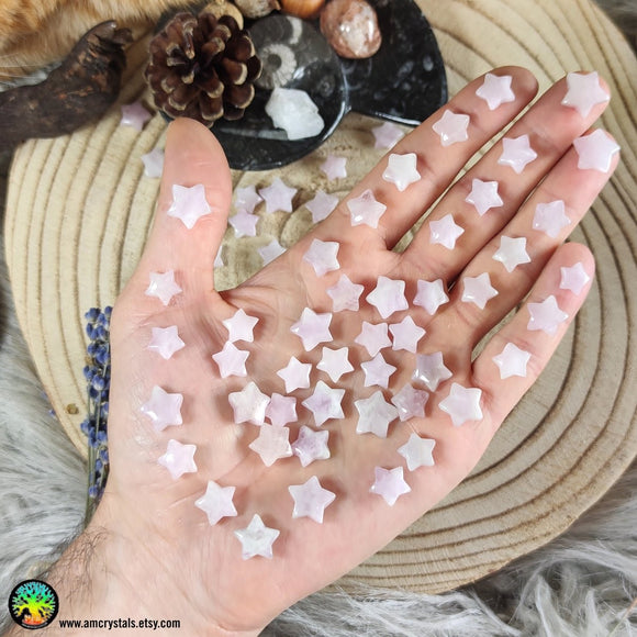 Mini Kunzite Star Cabochons 10-12mm - Anima Mundi Crystals