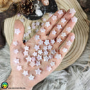 Mini Kunzite Star Cabochons 10-12mm - Anima Mundi Crystals