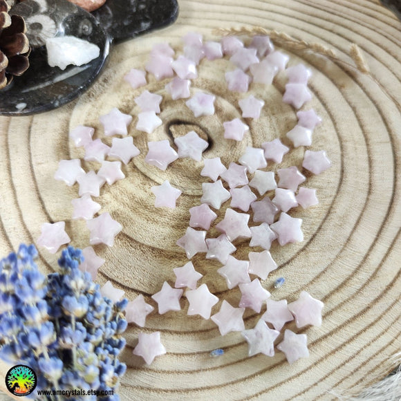 Mini Kunzite Star Cabochons 10-12mm - Anima Mundi Crystals