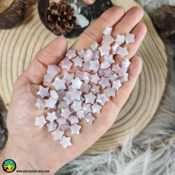 Mini Kunzite Star Cabochons 10-12mm - Anima Mundi Crystals