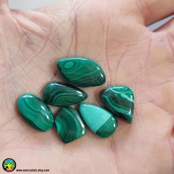 Mix Shape Malachite Cabochons nr.11 - Anima Mundi Crystals