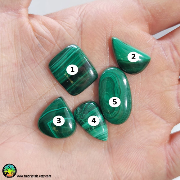 Mix Shape Malachite Cabochons nr.15 - Anima Mundi Crystals