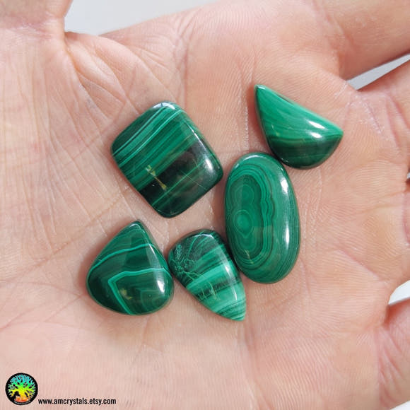 Mix Shape Malachite Cabochons nr.15 - Anima Mundi Crystals