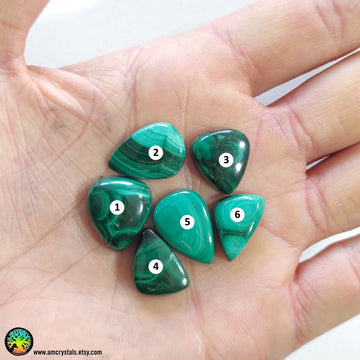 Mix Shape Malachite Cabochons nr.9 - Anima Mundi Crystals