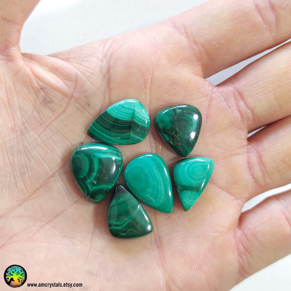 Mix Shape Malachite Cabochons nr.9 - Anima Mundi Crystals